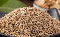 孜然包裝機(jī)，給您最好的享受